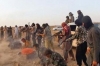 إعدام 35 مدنيا على يد "داعش" حاولوا الفرار من الفلوجة<font color=red size=-1>- عدد المشاهدین: 1301</font>