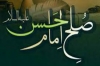 معاویہ کے ساتھ امام حسن علیہ السلام کی صلح<font color=red size=-1>- مشاہدات: 2413</font>