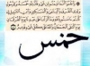 خمس آل محمد کا حق تھا لیکن خلفاﺀ نے دینے سے انکار کیا ۔۔۔<font color=red size=-1>- مشاہدات: 1608</font>