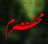 شیعوں کا امام حسین(ع) کو قتل کرنا۔<font color=red size=-1>- مشاہدات: 9152</font>
