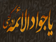 امامت امام جواد (ع) ، شیعہ روایات کی روشنی میں<font color=red size=-1>- مشاہدات: 7470</font>