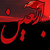 امام حسین (ع) اور زیارت اربعین<font color=red size=-1>- مشاہدات: 10421</font>