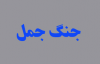 کیا جناب عائشه اصلاح، کی نیت سے نکلی تھی ؟<font color=red size=-1>- مشاہدات: 2142</font>